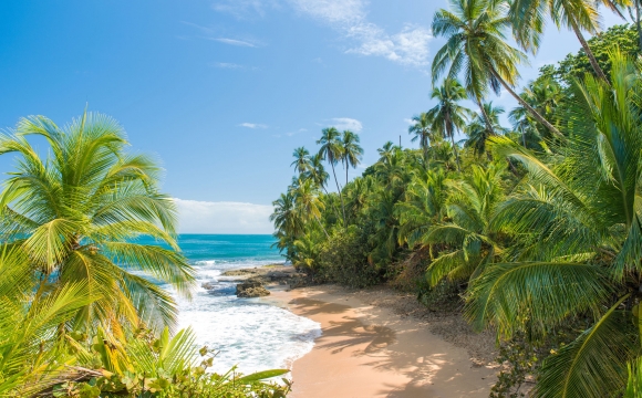 Les 10 destinations à visiter avant la trentaine - Au cœur de la nature au Costa Rica