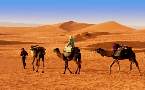 10 activités à faire à Djerba ! - Excursion dans le désert