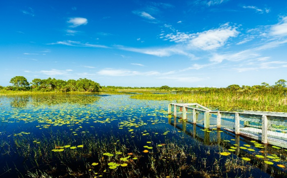 Les 15 plus beaux paysages des Etats-Unis - Les Everglades