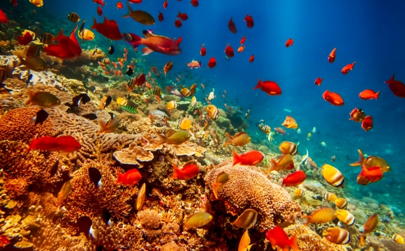 10 raisons de visiter Bali - Des activités multiples à envisager