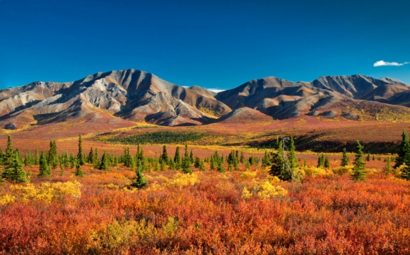 Les 15 plus beaux paysages des Etats-Unis - Denali