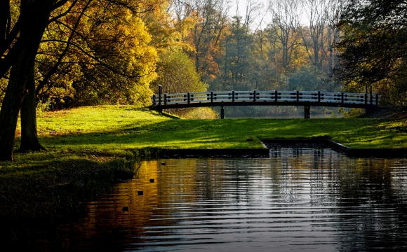10 activités gratuites à faire à Amsterdam - Le parc boisé Amsterdamse Bos