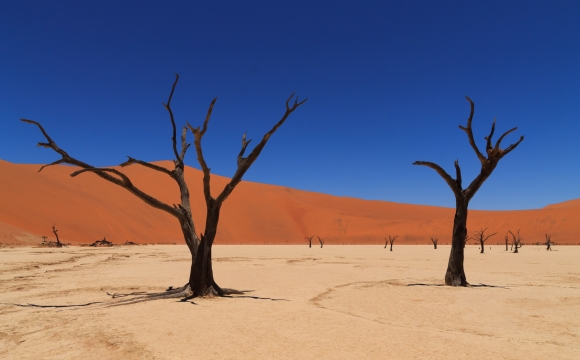 10 lieux surnaturels dans le monde - Deadvlei