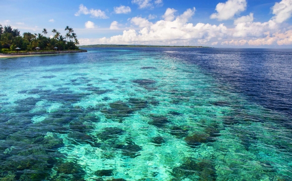 12 endroits pour nager dans l'eau turquoise - Wakatobi