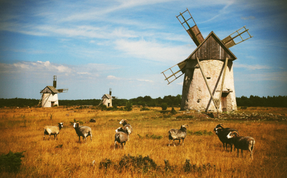 10 visites incontournables en Suède - L'île de Gotland