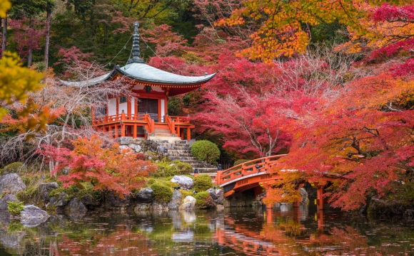 10 idées de voyage pour se ressourcer - Japon, découvrir l’art de vivre culinaire
