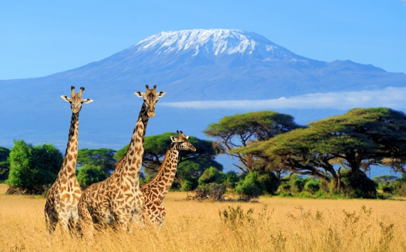Top 10 destinations soleil en hiver - Le Kenya