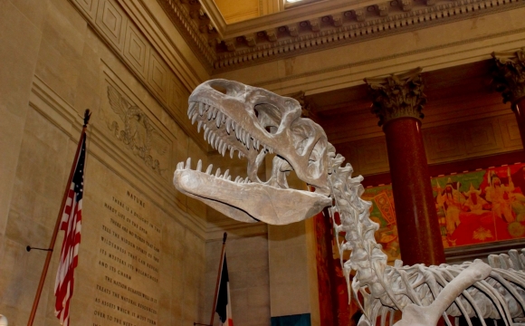 10 lieux de tournage à visiter - La Nuit au Musée : son fameux musée