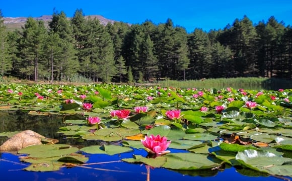 Les 10 plus beaux lacs de France - Le lac de Creno - Corse