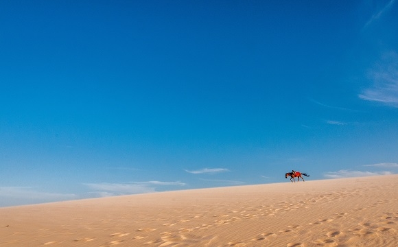 10 activités à faire à Djerba ! - Les balades à cheval