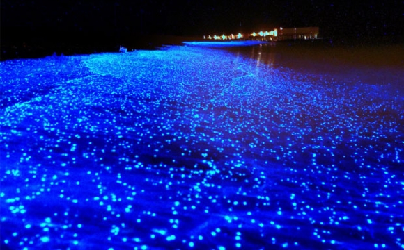 Les 10 plages les plus insolites au monde - Les Maldives et leur sable qui brille sous la lune