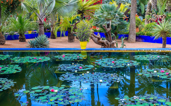 Top 10 des lieux à visiter à Marrakech - Le Jardin Majorelle