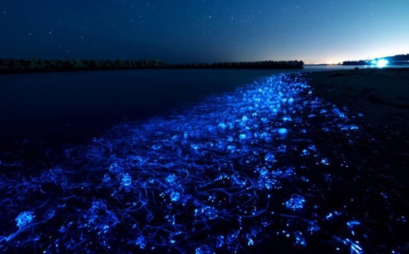 8 lieux pour voir le monde illuminé - Japon