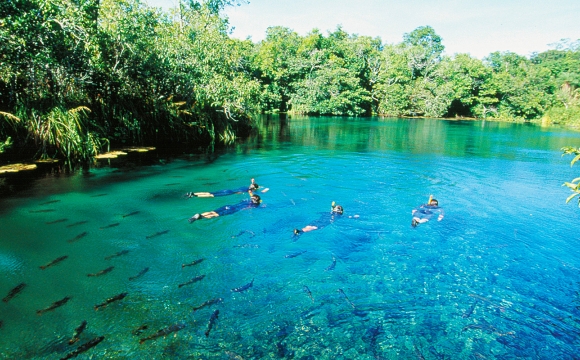 12 endroits pour nager dans l'eau turquoise - Bonito, Mato Grosso do Sul