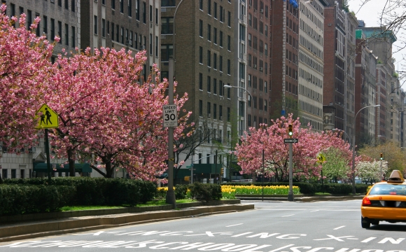 Où partir en mai ? - New-York en mai