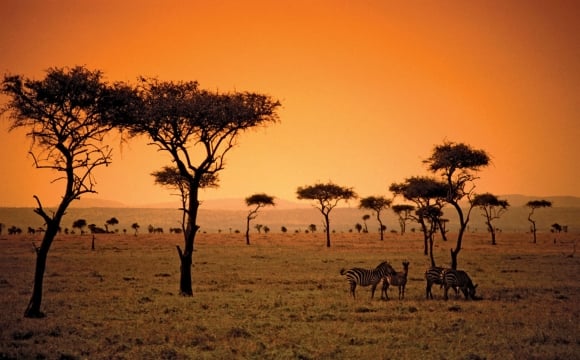 Où partir en septembre ? - Safari au Kenya