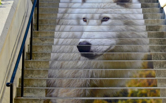Les 15 plus belles marches du monde - The Wolf, Ottawa