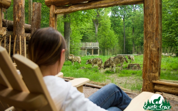 10 hôtels insolites en France - Dormez avec les loups