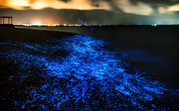 Les 10 plages les plus insolites au monde - Les Maldives et leur sable qui brille sous la lune