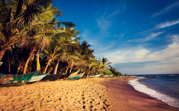 10 voyages à faire en couple - Les parcs naturels au Sri Lanka