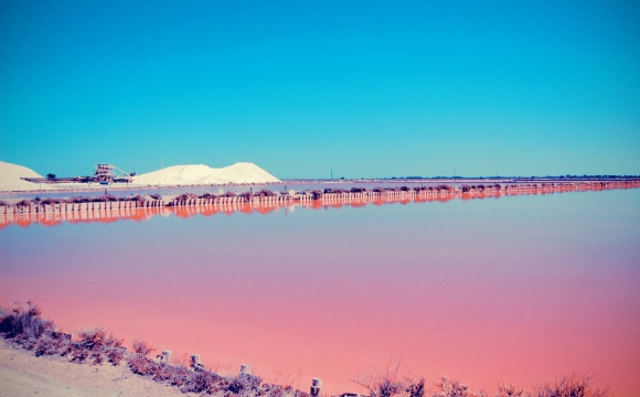 10 photos de voyage pour voir la vie en rose - Lac rose, Salins de Giraud