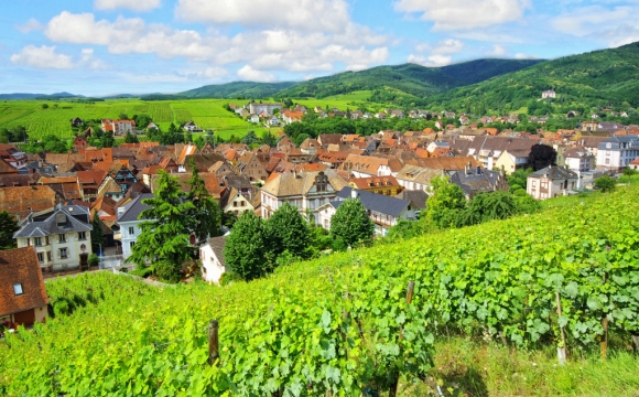 Les 10 plus belles routes de France - La route des Vins d’Alsace