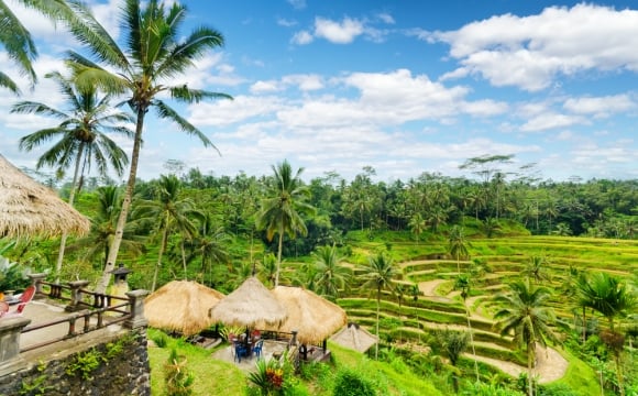 10 raisons de visiter Bali - Une faune riche