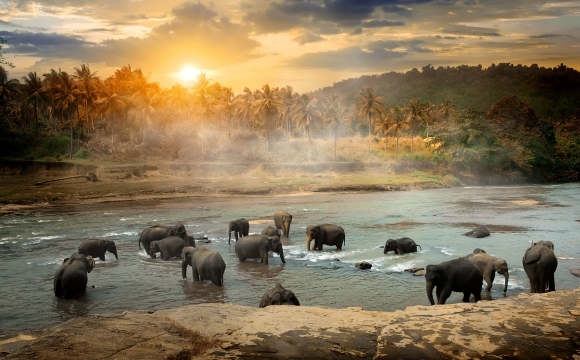 Top 10 des destinations pas chères, pour voyager sans se ruiner ! - Le Sri Lanka