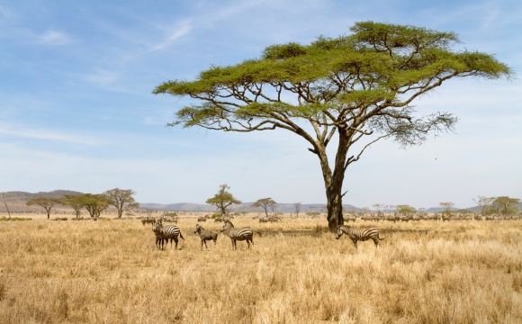 10 voyages qui vont changer votre vie - Tanzanie & Zanzibar