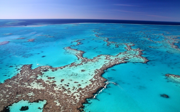 10 voyages à faire une fois dans sa vie - Plonger sur la Grande Barrière de Corail