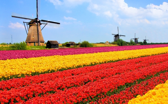 Les 10 pays au monde où les gens sont les plus heureux - Les Pays-Bas