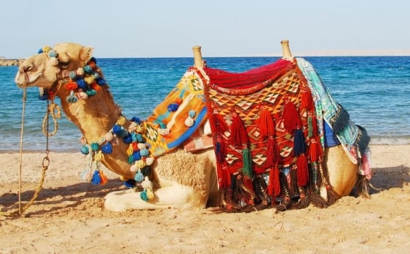5 destinations pour passer Noël au soleil - Djerba
