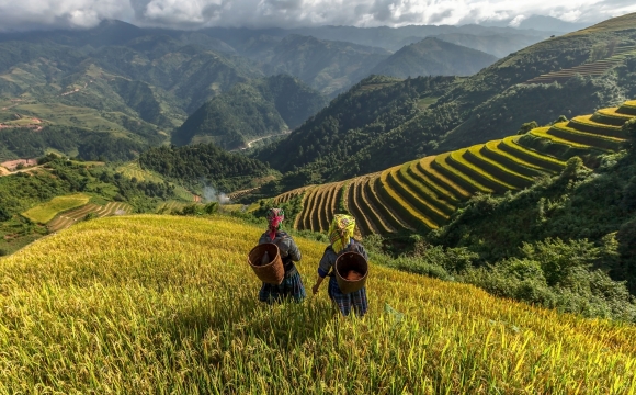 Top 10 des destinations pas chères, pour voyager sans se ruiner ! - Le Vietnam
