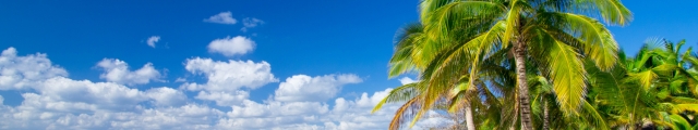 Go Voyages : séjours îles de rêve, Guadeloupe, Sri Lanka, Saint Martin... Go Voyages : séjours îles de rêve, Guadeloupe, Sri Lanka, Saint Martin...