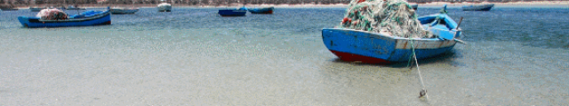 Havas Voyages : vente flash, séjours prix exclusifs Tunisie, Croatie... Havas Voyages : vente flash, séjours prix exclusifs Tunisie, Croatie...
