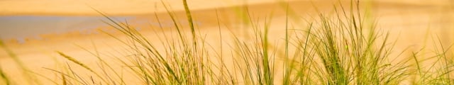 Locasun VP : ventes flash, 8j/7n en campings en Vendée proches des plages Locasun VP : ventes flash, 8j/7n en campings en Vendée proches des plages