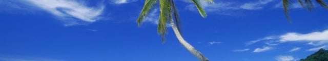 Nouvelles îles : séjours-combinés en Guadeloupe, Martinique, Rép. Dominicaine... Nouvelles îles : séjours-combinés en Guadeloupe, Martinique, Rép. Dominicaine...