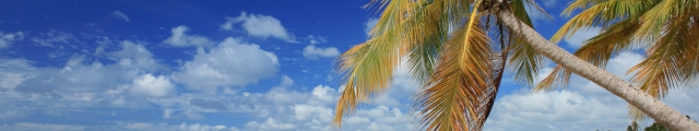 Nouvelles Îles : séjours en locations dans les Caraïbes, voiture incluse, à prix minis Nouvelles Îles : séjours en locations dans les Caraïbes, voiture incluse, à prix minis
