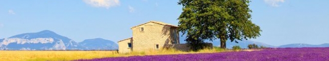 Madame Vacances : dernière minute locations 8j/7n en résidences, jusqu'à - 62% Madame Vacances : dernière minute locations 8j/7n en résidences, jusqu'à - 62%