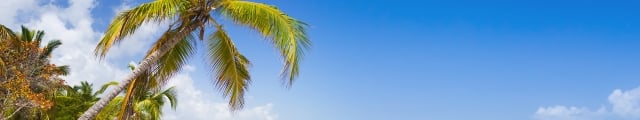 Promovacances : séjours 8j/7n ou 9j/7n au soleil cet hiver, - 43% Promovacances : séjours 8j/7n ou 9j/7n au soleil cet hiver, - 43%