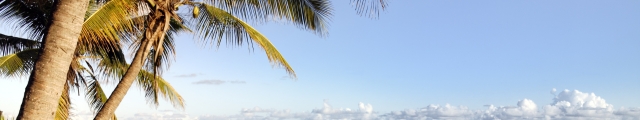 XL Airways : vols A/R vers les Antilles & la Réunion XL Airways : vols A/R vers les Antilles & la Réunion