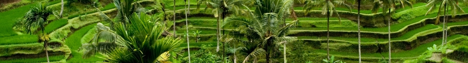 Cambodge Cambodge