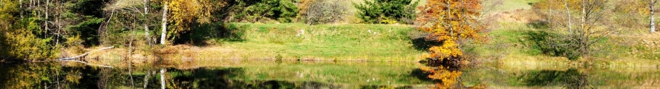 Les Vosges Les Vosges
