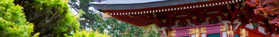 Japon Japon
