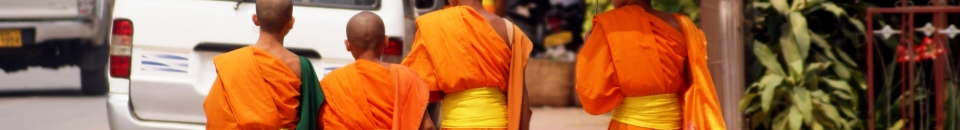 Le Laos Le Laos