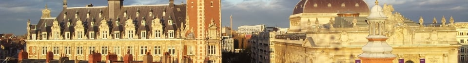 Lille Lille