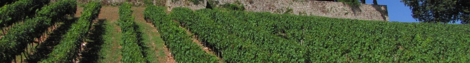 Sud Ouest / Espagne Sud Ouest / Espagne