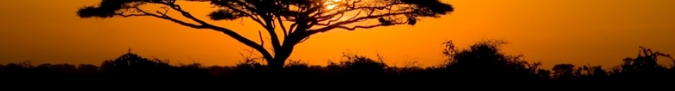 La Tanzanie La Tanzanie