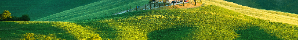 Toscane Toscane