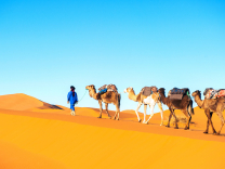 Top 10 : les incontournables à voir lors d’un séjour au Maroc